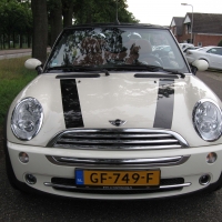 MINI occasion